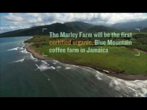Bob Marley and Organic Farming, What Do They Have in Common?