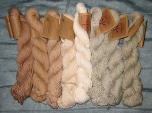 Organic cotton yarn - Pachuko Organic Cotton