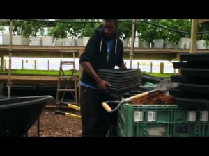 How 3 Acres Produce Over One Million Pounds of Organic Food for Urban Dwellers