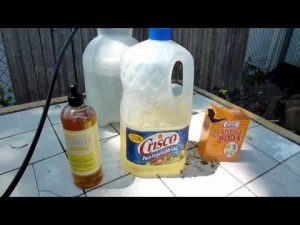 Make Your Own Natural and Organic Pesticide and Fungicide